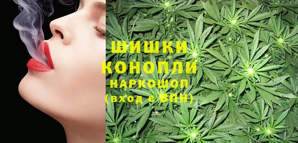 молекула духа Аркадак